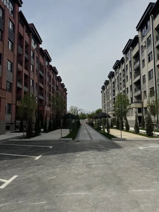 Tashkent, Obishir Street, 124/1