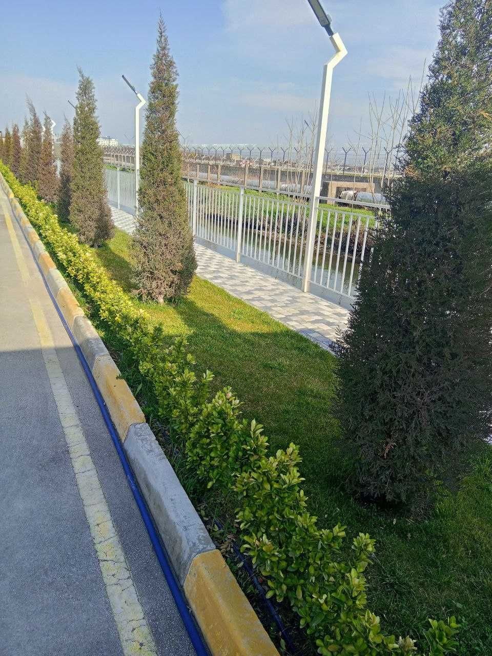 Tashkent, Mirabad District, Avliyo-Ata Street, 95