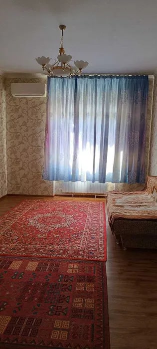 Tashkent, Parkent Street, 229/8