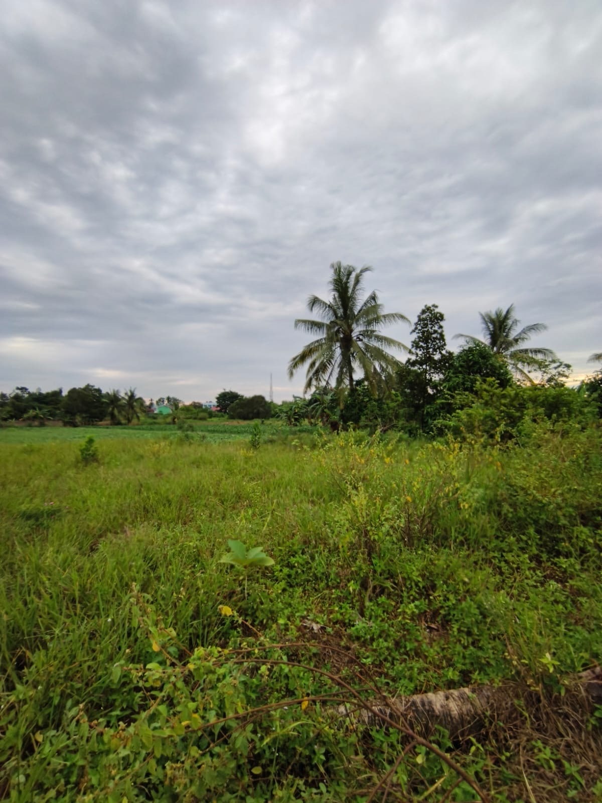 Jalan Lintas Timur Palembang-Prabumulih, Indralaya Utara, Kabupaten Ogan Ilir, Sumatera Selatan, Indonesia