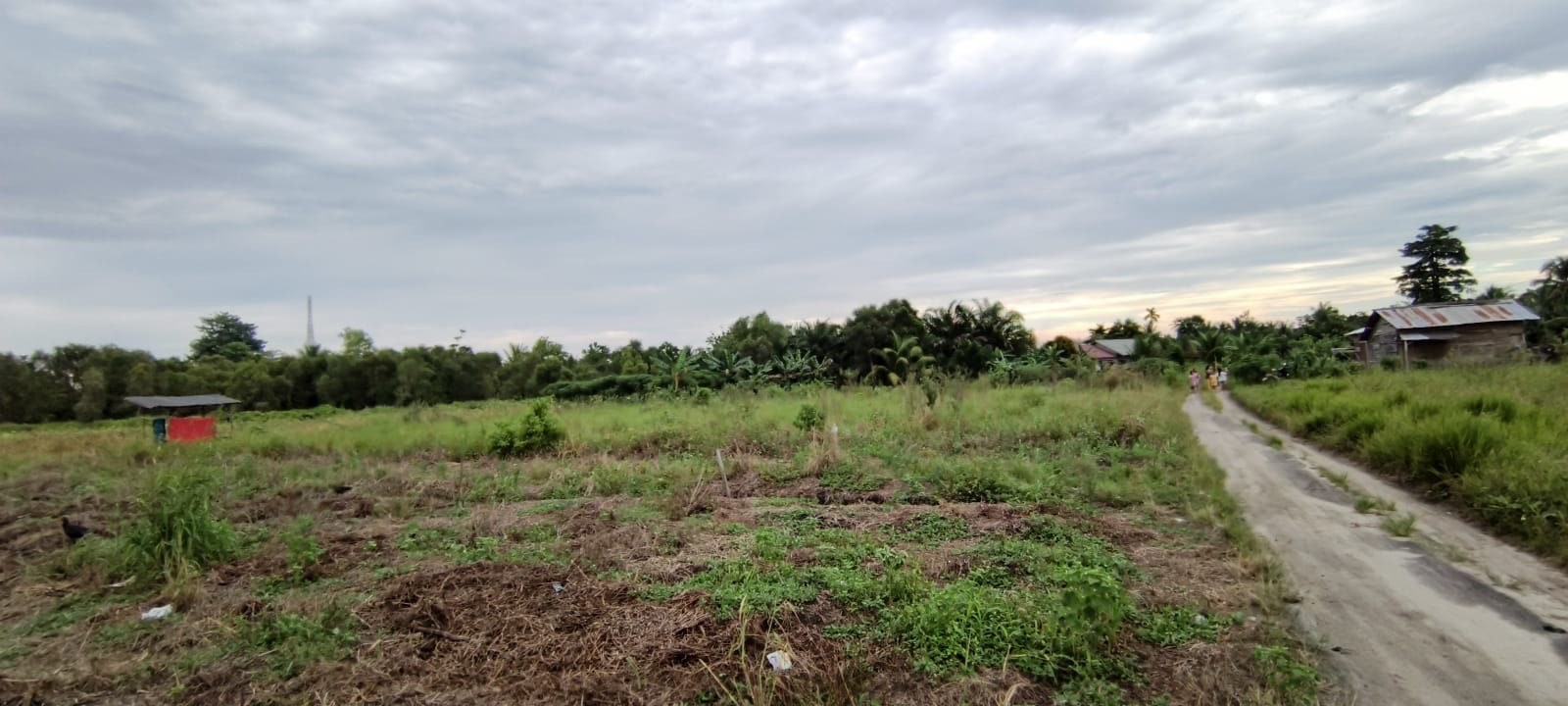 Jalan Lintas Timur Palembang-Prabumulih, Indralaya Utara, Kabupaten Ogan Ilir, Sumatera Selatan, Indonesia