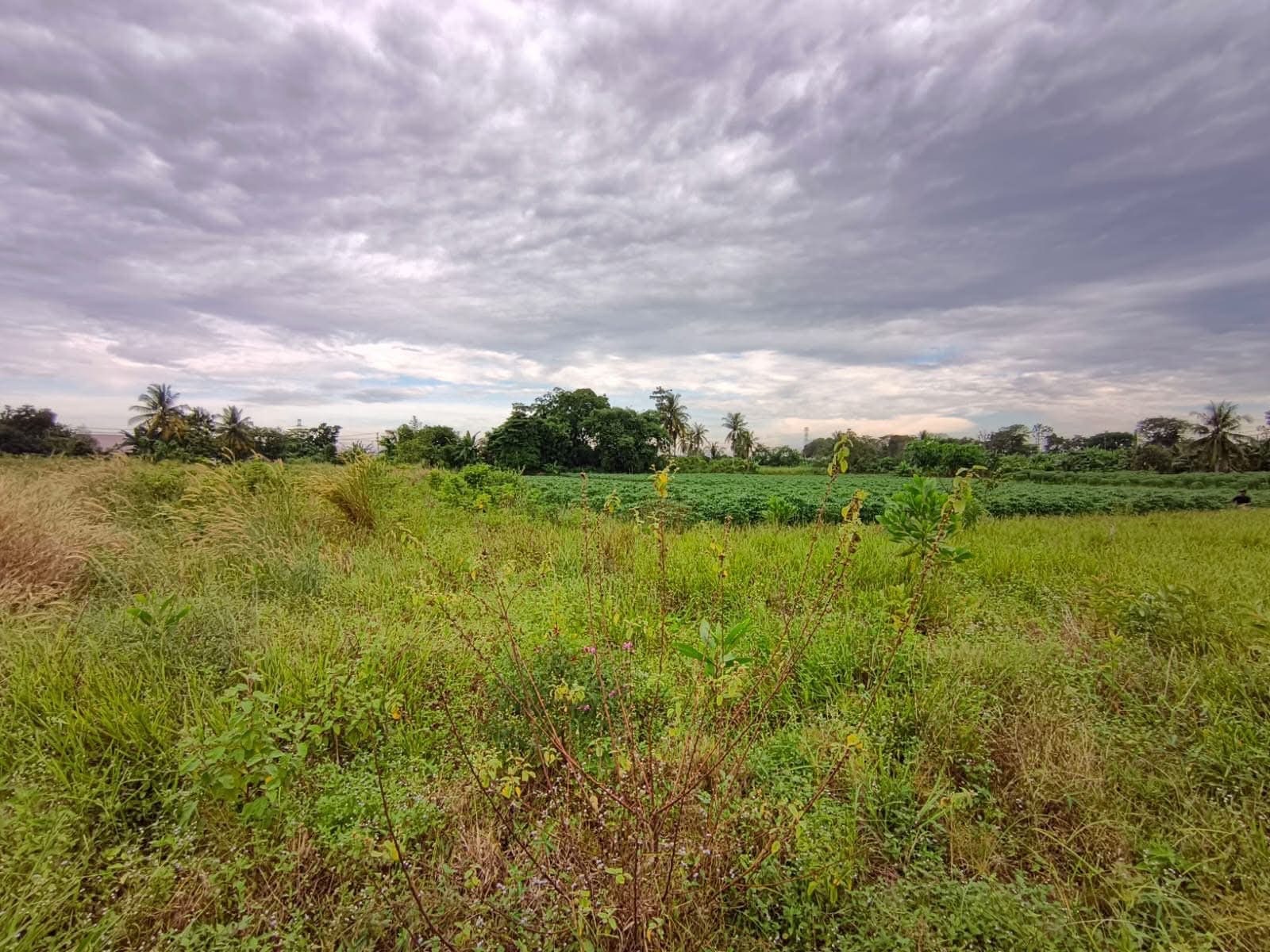 Jalan Lintas Timur Palembang-Prabumulih, Indralaya Utara, Kabupaten Ogan Ilir, Sumatera Selatan, Indonesia