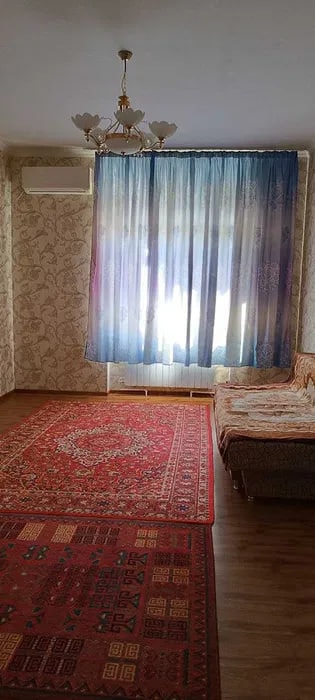 Tashkent, Parkent Street, 229/8